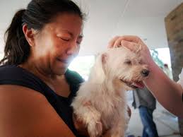 Bless This Pet: Churches Offer Prayers for All God's Creatures
