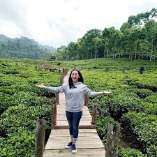 Check spelling or type a new query. 7 Tempat Wisata Di Jember Yang Suguhkan Panorama Apik