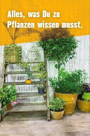 Balkon Und Terrasse Bepflanzen Hornbach Terrasse Bepflanzen Garten Bepflanzen Pflanzen