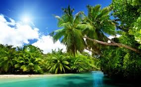 Best images about wallpaper for laptops 1280×1024. Widescreen Best Wallpapers Hd Wallpapers 1080p Desktop Nature Laptop Wallpaper Hd 1280x800 Wallpaper Teahub Io
