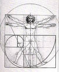 Résultat de recherche d'images pour "nombre d'or corps humain"