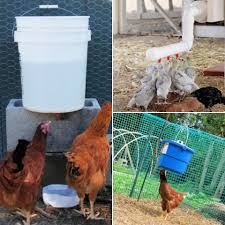 If you are interested in building one for your the feed is placed in through the top, so the chickens can access it through the connector opening. 15 Diy Chicken Waterer Ideas Out Of Recycled Materials