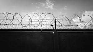 Fire him, bar him from law enforcement work, and move one. Nation S Failed Weed War Turned Blacks Into Prisoners Whites Moguls