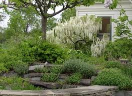 Hitch Lyman S Garden Open To The Public This Saturday Beautiful Gardens Garden Lyman
