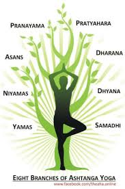 Eight Limbs Of Rajayoga Patanjali Ashtanga Yoga