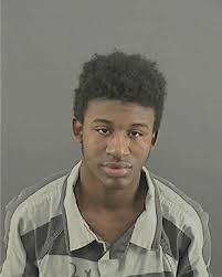 ᐅ Illinois Criminal Records 2009-2025