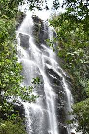 The parque nacional do itatiaia is a real natural reserve in the atlantic forest. Ecoturismo No Parque Nacional De Itatiaia Com Guia De Turismo Credenciado Contato 24999596544 Picture Of Parque Nacional Do Itatiaia Tripadvisor