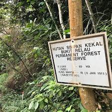 Contextual translation of 'hutan simpan' into english. Hutan Simpan Kekal Bukit Belau