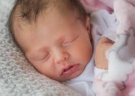 Cannon Captures Photography