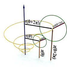 Pdf 3d Modelling Seashells