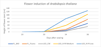 How does white light help plants grow. Different Kinds Of White Led Light Induce Different Plant Responses