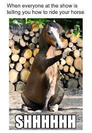 Pin On Horses Funny