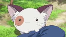 Kitty Cat Anime Gifs Tenor Browse and add best hashtags to amplify your creativity on picsart community! kitty cat anime gifs tenor