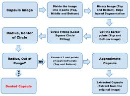 Flow Chart Of The Proposed Capsule Extraction Method Source