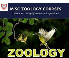 M Sc Zoology Courses Zoology Branches Of Biology Life Science