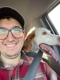 Rehoming English Setter Dogs Through Rescue Organizations