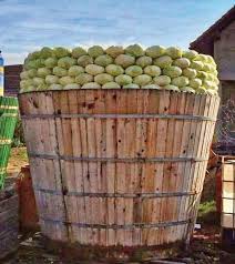 Idei de afaceri la țară: Femeia Care A FÄƒcut O Afacere ProfitabilÄƒ Din Una Dintre Cele Mai Mari DorinÅ£e Ale Omului Majoritatea Dintre Noi Ne LÄƒsÄƒm PradÄƒ Acestei DorinÅ£e Aproape Zilnic