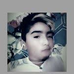 Elma Pitt's Instagram, Twitter & Facebook