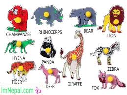 66 Names Of Animals In Nepali And English Learn Words