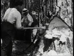 Für den bau des rössener hauses, welches als erstes exponat / gebäude auf der zeiteninsel gebaut wird, müssen viele eichen gefällt werden. 1910 1919 Videokollektion In 16mm Framepool Stock Footage