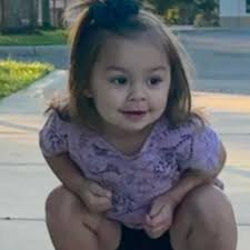 Adopting through foster care in Florida?