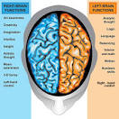 Image of brain right side