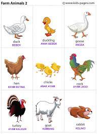 4 Farm Animals2 Jpg 1162 1600 Animal Flashcards Learning English For Kids Flashcards For Kids