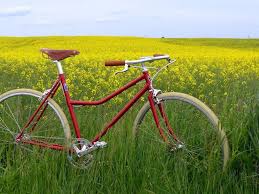 Bella Ciao Santo Subito Sportliches Damenfahrrad Bei Finest Bikes In Starnberg Bei Munchen Oder Online Kaufen Damenfahrrad Fahrrad Rad