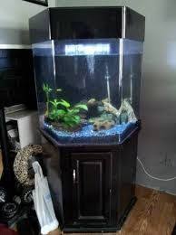 Octagon Fish Tank Google Search Hexagon Fish Tank Diy Fish Tank Fish Tank Stand