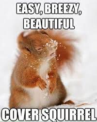 Vh Funny Animals 619 Jpg 630 790 Pixels Squirrel Funny Funny Animal Pictures Funny Animal Memes