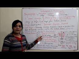 Introduction To Pharmacognosy Hindi By Solution Pharmacy Youtube In 2021 Solutions Pharmacy Introduction