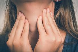 The lower two thirds of the lobes are connected by a thin band of tissue called the thyroid isthmus. Signs Your Thyroid Could Be The Issue