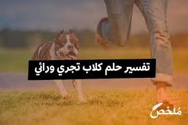 تفسير حلم كلبين يلاحقوني في المنام مطاردة الكلاب في المنام علامة على وجود اشخاص حاقدين حوله. Ø§Ù„ÙƒÙ„Ø¨ Ø§Ù„Ø¨Ù†ÙŠ ÙÙŠ Ù…Ù†Ø§Ù… Ø§Ù„Ø¹Ø²Ø¨Ø§Ø¡