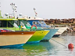 31 Raisons De Ne Jamais Aller En Guadeloupe Guadeloupe Saint Jean Baptiste Bateaux