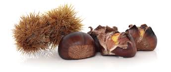 Nascono nei boschi dove luce filtrata e umidità regnano sovrane, e sono custodite da una corazza pungente che fate bollire 2 kg di castagne, con buccia; Buccia Di Castagne Un Vero Cosmetico Naturale Non Buttarle Scopri Perche