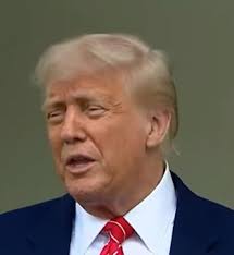 Chris guider: Bevæger du dig nok?