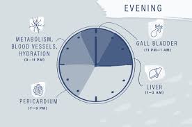 How The Chinese Medicine Clock Affects Your Body Well Good