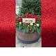 Spruce Top Planter Class event in Mason City, IA