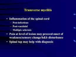 Encephalitis is a severe inflammatory disorder of the brain with many possible causes and a complex differential diagnosis. Diseases Of The Spinal Cord Stacy Rudnicki Md