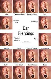 Everything You Need To Know About Piercings Ear Piercing Names Ear Piercing For Women Piercings