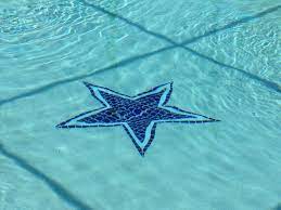 Dallas Cowboy Swimming Pool Dallas Cowboys Dallas Cowboys Decor Dallas Cowboys Baby