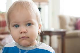 Faye Ross (Cholodny)