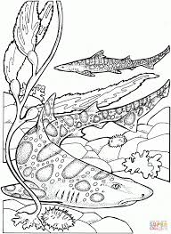 Leopard Sharks Coloring Page From Sharks Category Select From 27237 Throughout Wobbegong Shark Colo