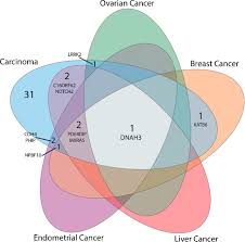 A mutation, or harmful genetic change, in either brca1 or brca2 gives a men with these gene mutations also have an increased risk of breast cancer and prostate cancer. Family Specific Genetic Predisposition To Breast Cancer Results From Tunisian Whole Exome Sequenced Breast Cancer Cases Journal Of Translational Medicine Full Text