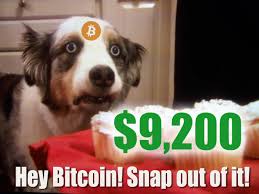 What's up with bitcoin ? Seems To Sum Up The State Of Bitcoin Right Now Bitcoin