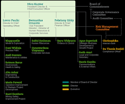 Our Organizational Structure