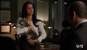 Ratings have dipped each time the show has returned, even when the duchess of sussex was a part of it. Rachel Zane In Ella Moss Blouse On Suits Season 3 Episode 7 Meghan Maven