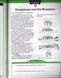 11 Ecological Levels Of Organization Science Worksheet Science Printable Sheets Com In 2020 Biology Worksheet Reading Worksheets Worksheet Template