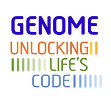 For a traveling exhibit on the human genome, we produced four videos . Genome Unlocking Life S Code