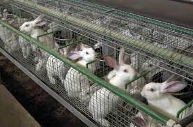 We did not find results for: Arhive Locuri De Munca Franta Oferte Munca